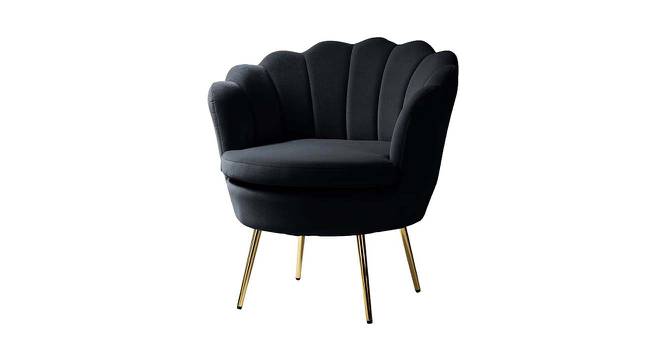 Melta Fabric Accent Chair in Black Colour (Black, Powder Coating Finish) by Urban Ladder - Front View Design 1 - 575083
