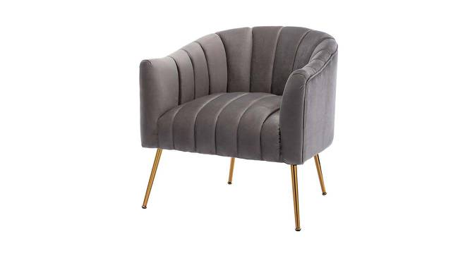 Jella Fabric Accent Chair in Grey Colour (Grey, Powder Coating Finish) by Urban Ladder - Front View Design 1 - 575084