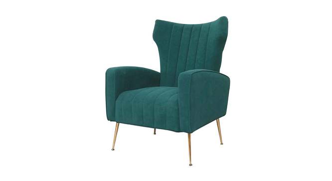 Murrow Fabric Accent Chair in Green Colour (Green, Powder Coating Finish) by Urban Ladder - Front View Design 1 - 575088