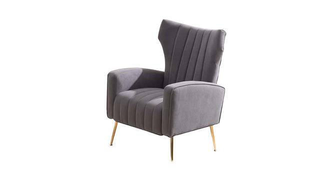 Murrow Fabric Accent Chair in Grey Colour (Grey, Powder Coating Finish) by Urban Ladder - Front View Design 1 - 575089