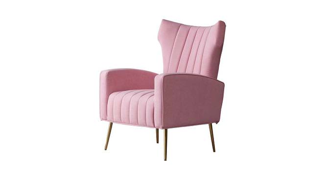 Murrow Fabric Accent Chair in Pink Colour (Pink, Powder Coating Finish) by Urban Ladder - Front View Design 1 - 575090