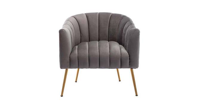 Jella Fabric Accent Chair in Grey Colour (Grey, Powder Coating Finish) by Urban Ladder - Cross View Design 1 - 575099