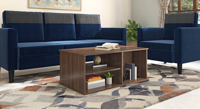 Liam Rectangular Engineered Wood Coffee Table (Classic Walnut Finish) by Urban Ladder - Full View Design 1 - 579156