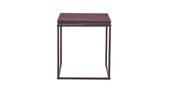 Bendigo Metal Side Walnut Table (Glossy Finish) by Urban Ladder - Front View Design 1 - 579214