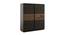 Maple 2 Door Sliding Wardrobe (Matte Finish) by Urban Ladder - Front View Design 1 - 579274