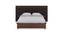 Malcom Engineered Wood King Box Storage Upholstered Bed in Walnut Finish (King Bed Size, Glossy Finish) by Urban Ladder - Front View Design 1 - 584504
