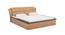 Winston Engineered Wood King Box Storage Upholstered Bed in Camel Brown Finish (King Bed Size, Matte Finish) by Urban Ladder - Front View Design 1 - 584773