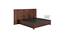 Hudson Engineered Wood Queen Box Storage in Walnut Finish (Queen Bed Size, Glossy Finish) by Urban Ladder - Design 1 Side View - 584785