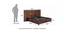 Hudson Engineered Wood Queen Box Storage in Walnut Finish (Queen Bed Size, Glossy Finish) by Urban Ladder - Design 1 Dimension - 584807