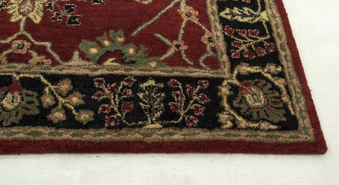 Waisha Carpet (244 x 152 cm  (96" x 60") Carpet Size, Red - Ebony) by Urban Ladder - - 