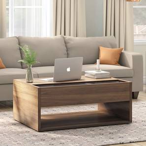 Laptop Table Design Alita Rectangular Engineered Wood Coffee Table in Warm Walnut Finish