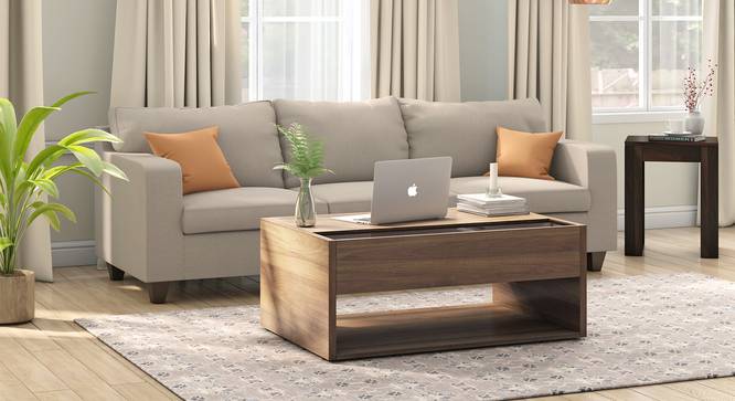 Alita Laptop Coffee Table (Warm Walnut Finish) by Urban Ladder - Full View - 586079