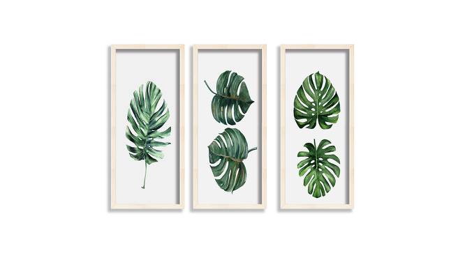 Juliet Multicolor Synthetic Fiber Framed Wall Art -  Set Of 3 (Multicolor) by Urban Ladder - Front View Design 1 - 586424