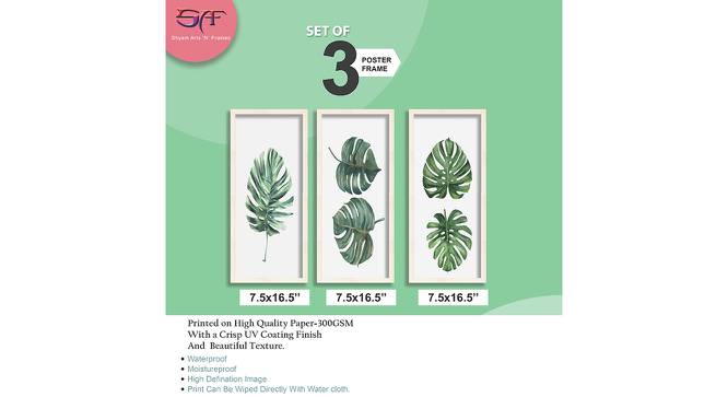 Juliet Multicolor Synthetic Fiber Framed Wall Art -  Set Of 3 (Multicolor) by Urban Ladder - Design 1 Dimension - 586499