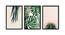 Ryleigh Multicolor Synthetic Fiber Framed Wall Art -  Set Of 3 (Multicolor) by Urban Ladder - Front View Design 1 - 586607