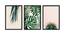 Freya Multicolor Synthetic Fiber Framed Wall Art -  Set Of 3 (Multicolor) by Urban Ladder - Front View Design 1 - 586818
