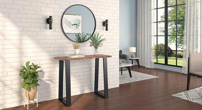 Aquila Solid Wood Console Table (Teak Finish) by Urban Ladder - Full View Design 1 - 