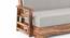 Mahim Sofa Cum Bed (Vapour Grey, With Storage Arm) by Urban Ladder - Rear View Design 1 - 590729