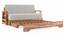 Mahim Sofa Cum Bed (Vapour Grey, With Storage Arm) by Urban Ladder - Design 1 Close View - 590730