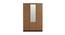 Terence 3 Door Engineered Wood Wardrobe - New Wenge Natural Ebony (Melamine Finish) by Urban Ladder - Front View Design 1 - 591341