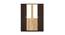 Willy 4 Door Engineered Wood Wardrobe - New Wenge Sonama Oak (Melamine Finish) by Urban Ladder - Design 1 Side View - 591368