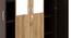 Willy 4 Door Engineered Wood Wardrobe - New Wenge Sonama Oak (Melamine Finish) by Urban Ladder - Design 1 Close View - 591405