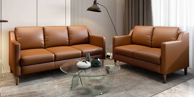 Bradley Leather Sofa (2-seater Custom Set - Sofas, None Standard Set - Sofas, Regular Sofa Size, Regular Sofa Type, Leather Sofa Material, Tan Brown)