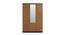 Terence 3 Door Engineered Wood Wardrobe - Wenge Natural Ebony (Melamine Finish) by Urban Ladder - Front View Design 1 - 593751