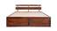 Admire Solid Wood Queen Size Box Storage Bed (Queen Bed Size, HONEY Finish) by Urban Ladder - - 