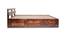 Admire Solid Wood Queen Size Box Storage Bed (Queen Bed Size, HONEY Finish) by Urban Ladder - - 