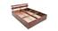 Admire Solid Wood Queen Size Box Storage Bed (Queen Bed Size, HONEY Finish) by Urban Ladder - - 
