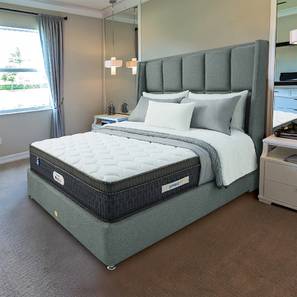 Bedroom Furniture In Ambarnath Design Pro Activ Plus Orthopedic Memory Foam Back Support Medium Soft Luxury Bed Mattress - King Size (White, King Mattress Type, 5 in Mattress Thickness (in Inches), 80 x 72 in Mattress Size)