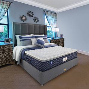 Springfit Design Pro Activ Jump 8 Layered Pillow Top Model Medium Soft Hotel Comfort Premium Bed Mattress - King Size (King Mattress Type, 8 in Mattress Thickness (in Inches), 84 x 72 in Mattress Size)