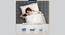 Club Class Platinum Orthopedic Back Pain Relief Dual Comfort Medium Soft & Hard Bed Mattress - King Size (Grey, King Mattress Type, 6 in Mattress Thickness (in Inches), 72 x 72 in Mattress Size) by Urban Ladder - Design 1 Details - 603201