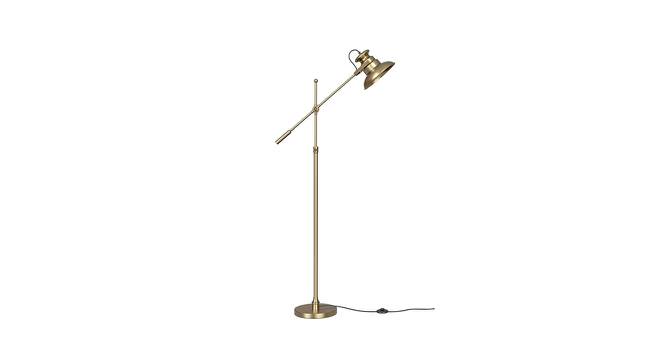 Harriet Brass Antique Shade Floor Lamps With Gold Metal Base (Brass Antique) by Urban Ladder - Front View Design 1 - 604034