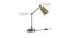 Petrova Brass Antique Shade Table Lamp With Gold Metal Base (Brass Antique) by Urban Ladder - Design 1 Side View - 604064