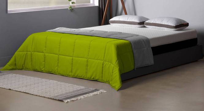 Green Solid 220 GSM Synthetic Fiber Single Comforter (Green, Single Size) by Urban Ladder - - 