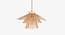 Huntley Natural Iron Hanging Lights (Natural) by Urban Ladder - Front View Design 1 - 605647