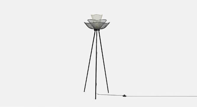 Cleo off white Floor Lamps With Black Iron Base (Multicolor) by Urban Ladder - Front View Design 1 - 605730