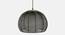 Dashiell Black Iron Hanging Lights (Walnut) by Urban Ladder - Front View Design 1 - 605732