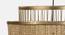 Isla gold Iron Hanging Lights (Natural) by Urban Ladder - Design 1 Side View - 605768