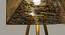 Frankie gold Floor Lamps With Gold Iron Base (Multicolor) by Urban Ladder - Rear View Design 1 - 605794