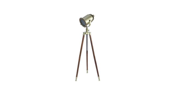 Amy Gold Metal Shade Floor Lamp With Gold Aluminum Base (Gold) by Urban Ladder - Design 1 Side View - 605949