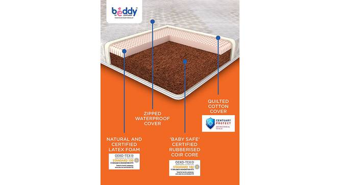 Beddy Nest Natural Mattress (4 in Mattress Thickness (in Inches), 55 x 27 in Mattress Size) by Urban Ladder - Front View Design 1 - 605977