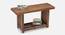 Bria Solid Wood Benches in Brown Colour (Polished Finish) by Urban Ladder - Design 1 Side View - 606115