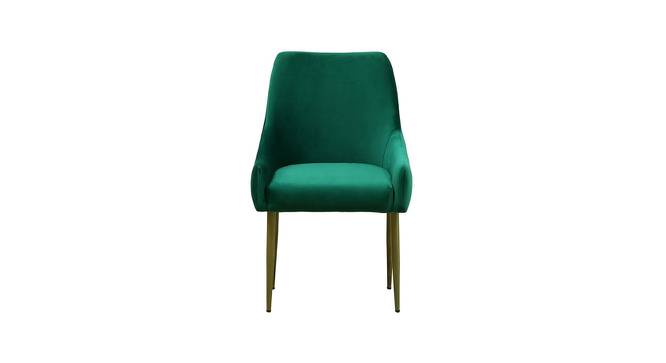 Rohan Metal Outdoor Chair in Green Colour (Green) by Urban Ladder - Front View Design 1 - 606174