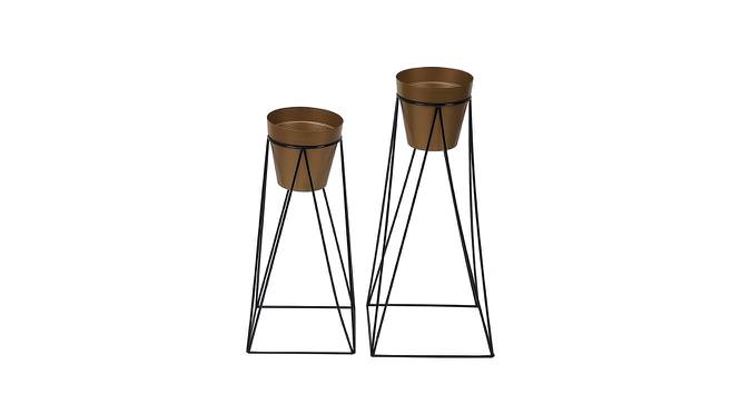 Easton Gold Metal Planter Stands - Set Of 2 (Gold) by Urban Ladder - Front View Design 1 - 607585