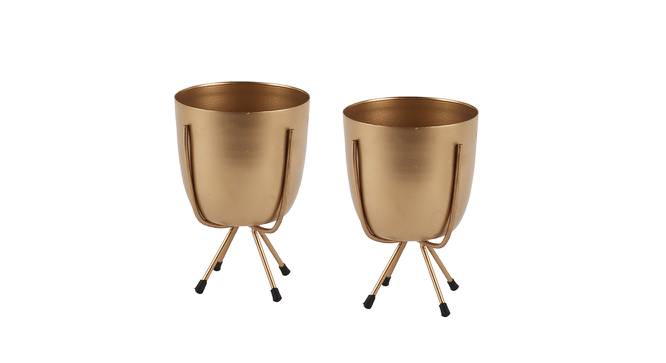 Kai Gold Metal Planter Stands - Set Of 2 (Gold) by Urban Ladder - Front View Design 1 - 607600