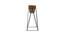 Easton Gold Metal Planter Stands - Set Of 2 (Gold) by Urban Ladder - Ground View Design 1 - 607642