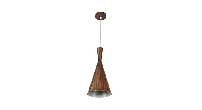 Roscoe Brown Metal Hanging Light (Brown) by Urban Ladder - Front View Design 1 - 607960